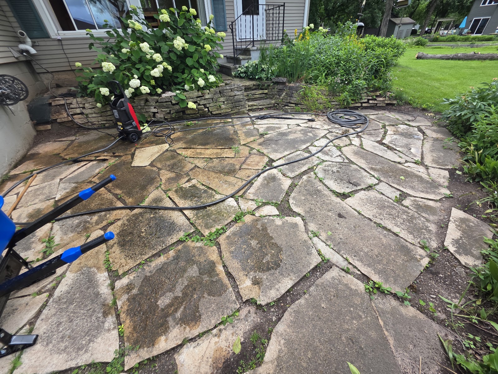 Stone patio landscaping with hydrangeas