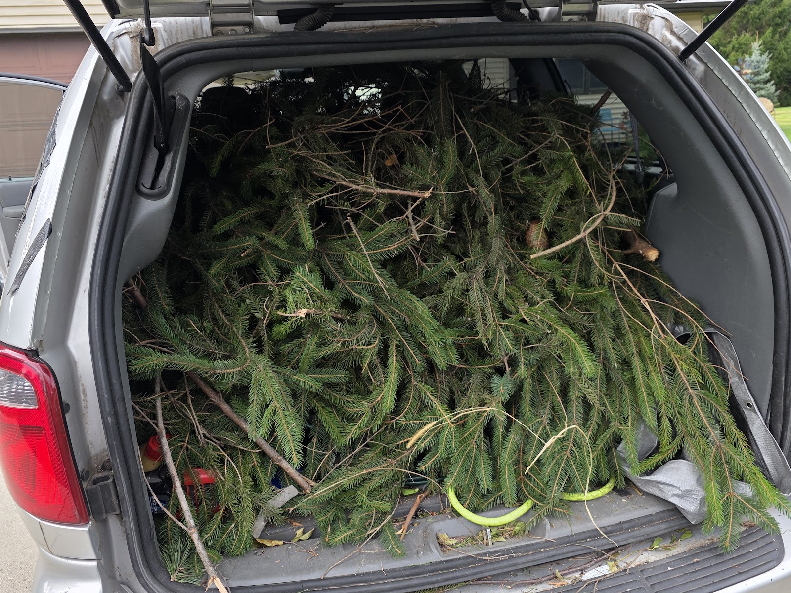 Tree branches loaded for removal and hauling